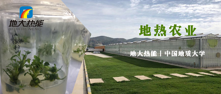 地熱在農業中的綜合利用助力雙碳目標實現|地熱農業-地大熱能 地熱在農業中的綜合利用助力雙碳目標實現|地熱農業-地大熱能