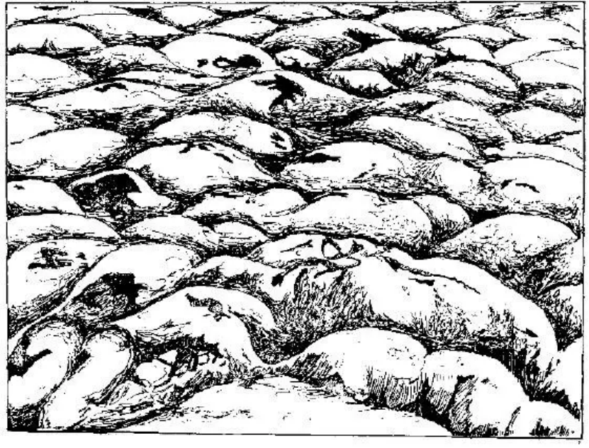 盤點各類地質地貌類型-地熱資源開發(fā)-地大熱能