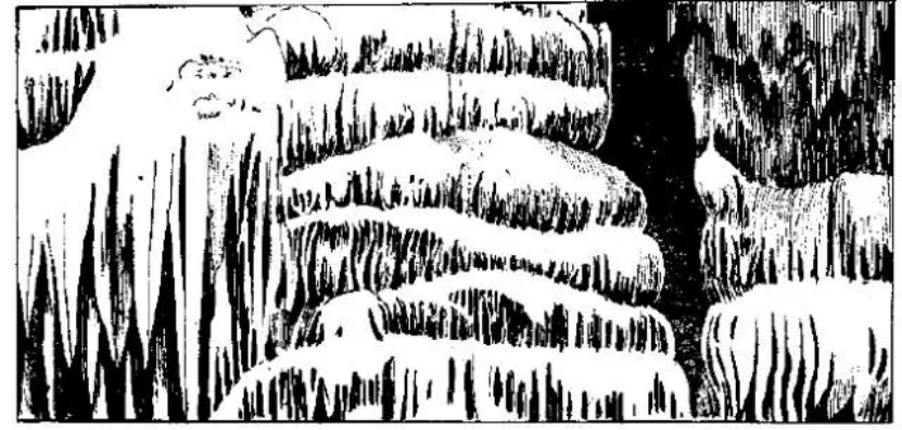 盤點各類地質地貌類型-地熱資源開發(fā)-地大熱能