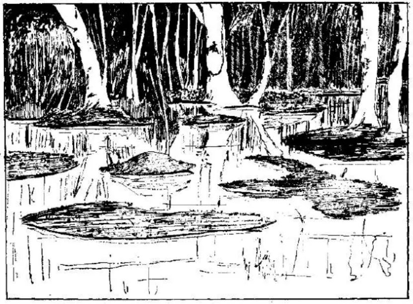 盤點各類地質地貌類型-地熱資源開發(fā)-地大熱能